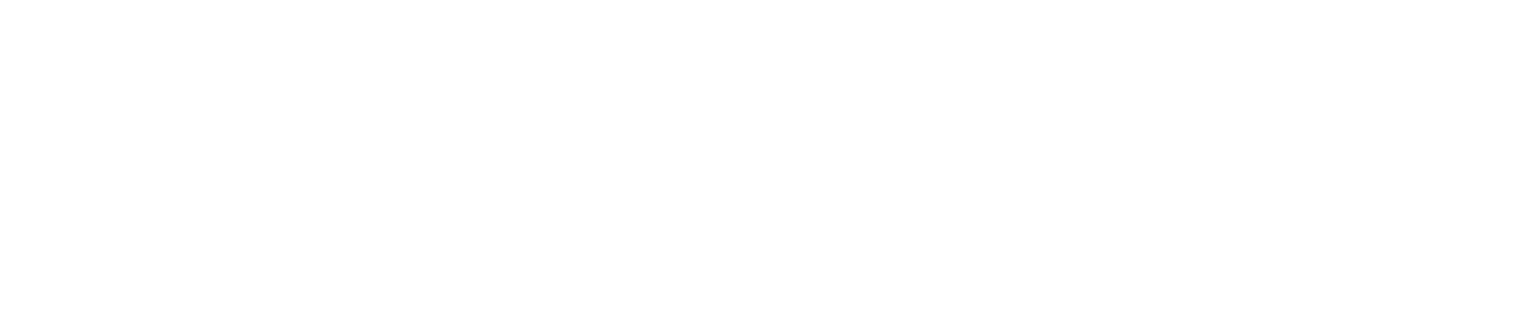 Salahaldin Schools Logo