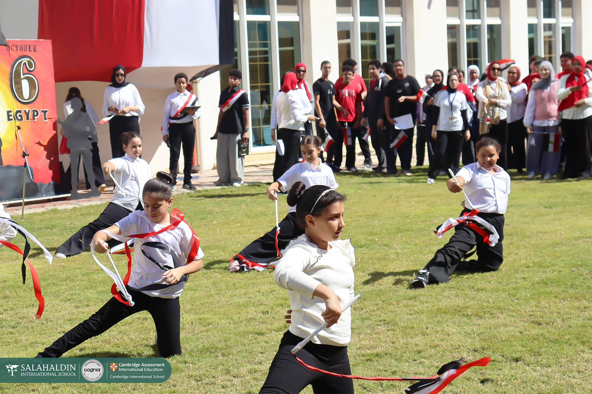 IMG_1226 copy