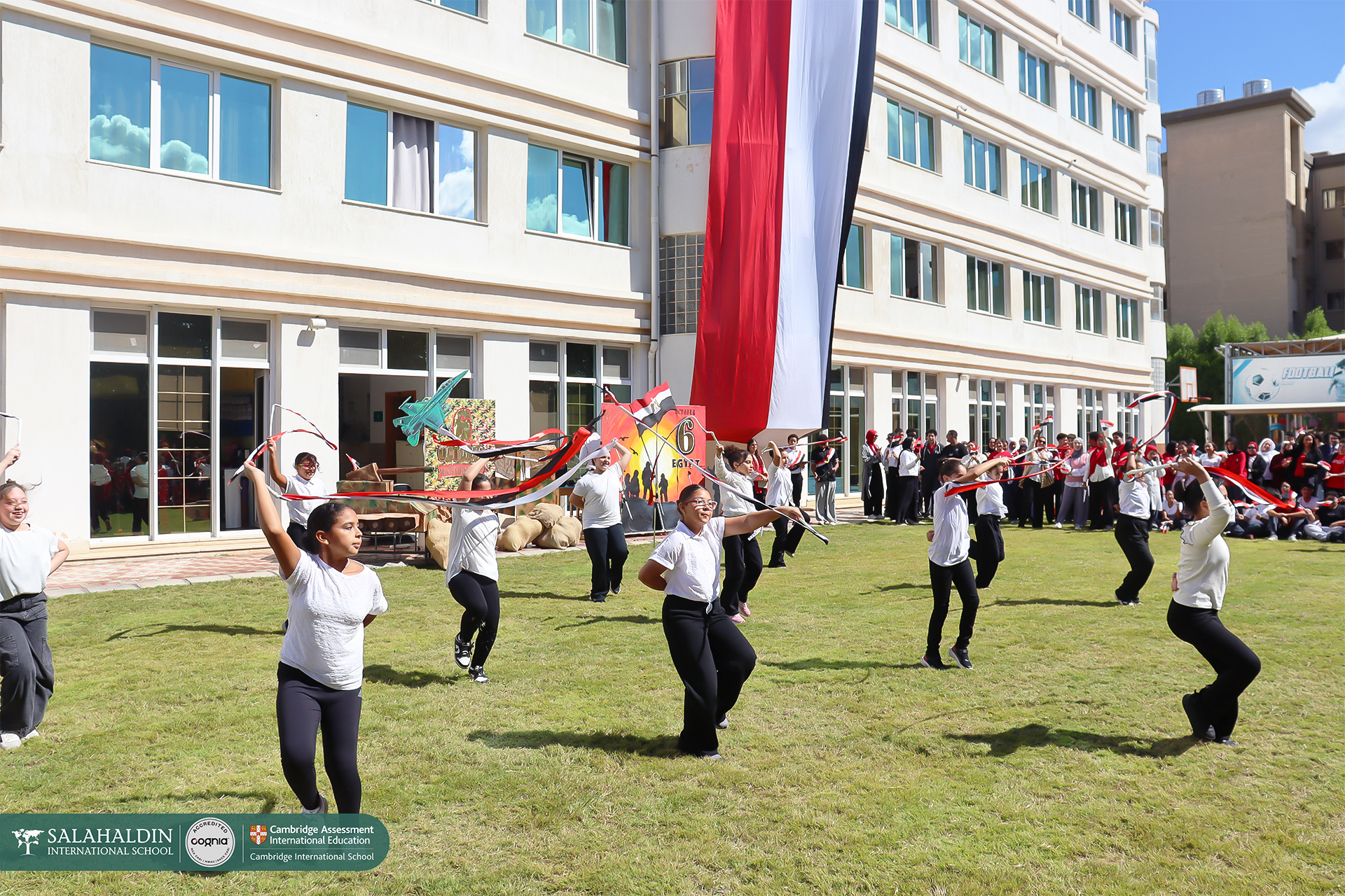 IMG_1239 copy